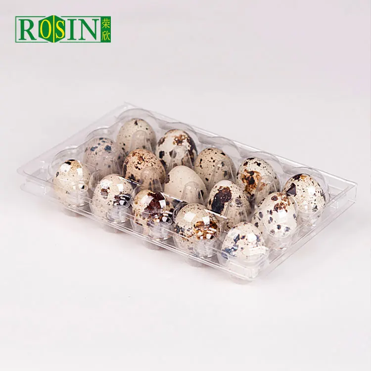 Customized Disposable Transparent 24 Compartment Plastic Blister Egg Tray for Quail Egg China Tray Molds with Chicken Duck Egg