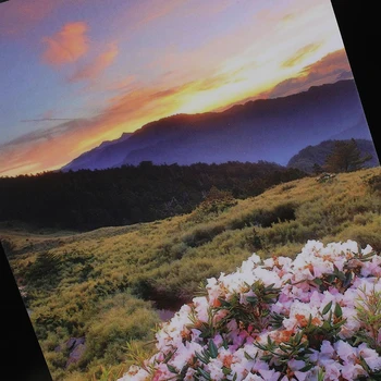 Matte Cold Laminating Film Adhesive Self-adhesive Poster Promotional Film Roll Book and Magazine Cover Hand Card Film