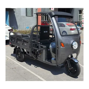 China 3 Wheel Motor Electric Tricycle with Canopy for Adult / Algeria Cargo Truck Vehicle Electronic Tricycle Adult with Roof
