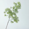Bianco VERDE