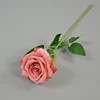 Pink 4