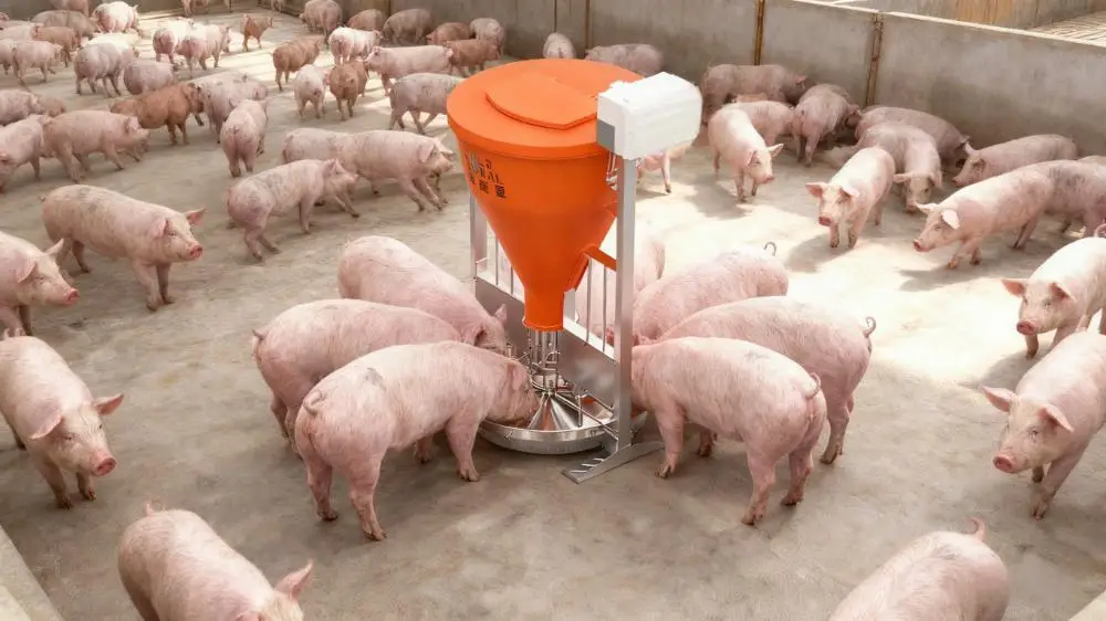 New Energy-Saving Auto-Dispensing Smart Pig Wet-Dry Feeder with PVC ...