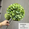 Lecca-lecca ortensia con foglie-verde
