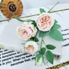 Rosa claro