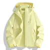 Jaune d'oie