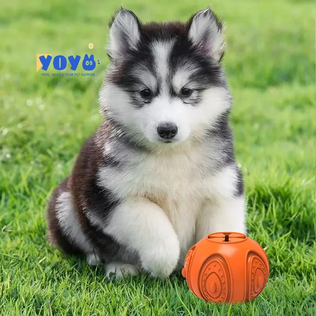 Yoyo Pet Tpr Leaky Food Toys Ball Bite Resistant Cleaning Teeth Chew Leaking Treats Ball Pet Feeder Toy