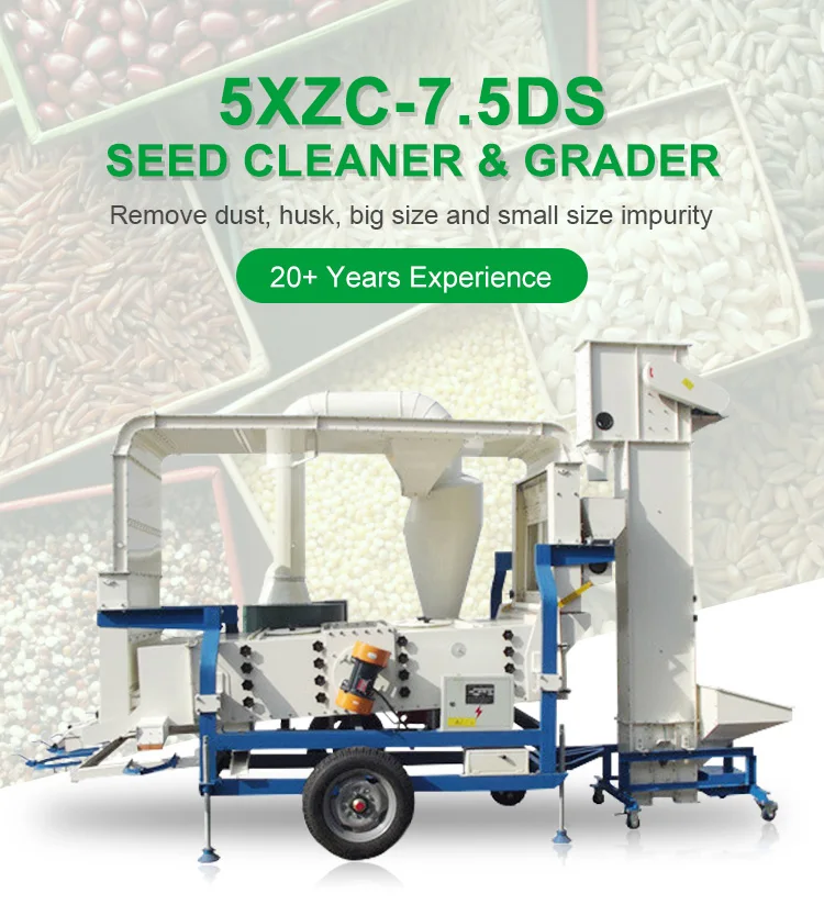 Sesame Seed Cleaner - High Productivity & Reliable Machinery