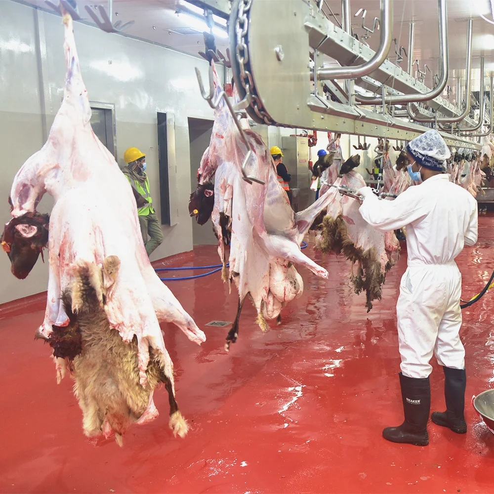 Automatic live goat lamb ram african slaughtering machine slaughterhouse