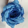สีน้ำเงินเข้ม