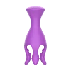 Viola