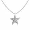 Estrella de mar de metal plateada
