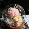 Champagne Carnation