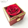Rosa roja preservada