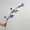 Pourpre