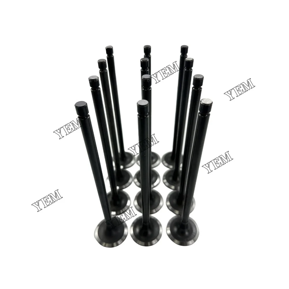Intake Valve Fit for Hyundai D6CB Engine 3