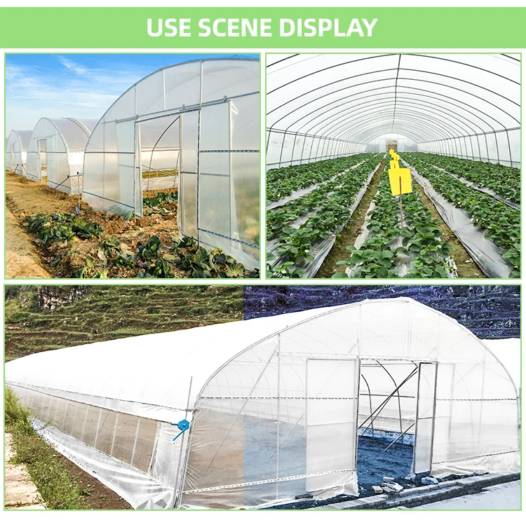 Low Cost 9x30m Green House Frame Green Plastic Film High Tunnel ...