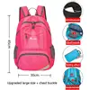 Rose rouge2