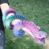 สีสัน