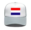 Netherlands flag-grey