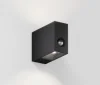Negro