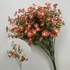 Arancione