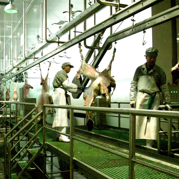 Small ruminant mutton sheep slaughterhouse