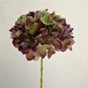 Purple Green