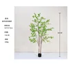 [Hot Selling] Green Multi-Stem Mini Maple Tree 180cm