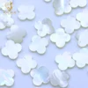 Coquille blanche naturelle