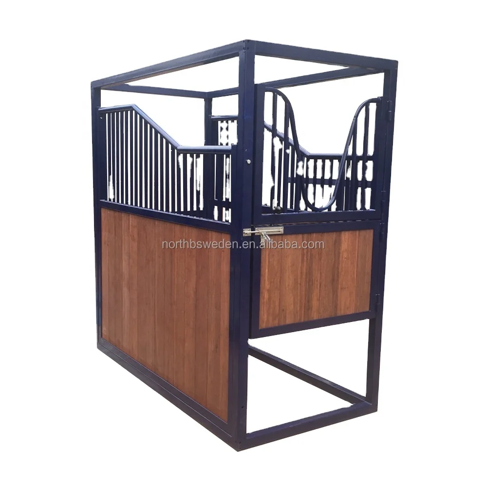 Конский конь, гинекологический медицинский кабинет