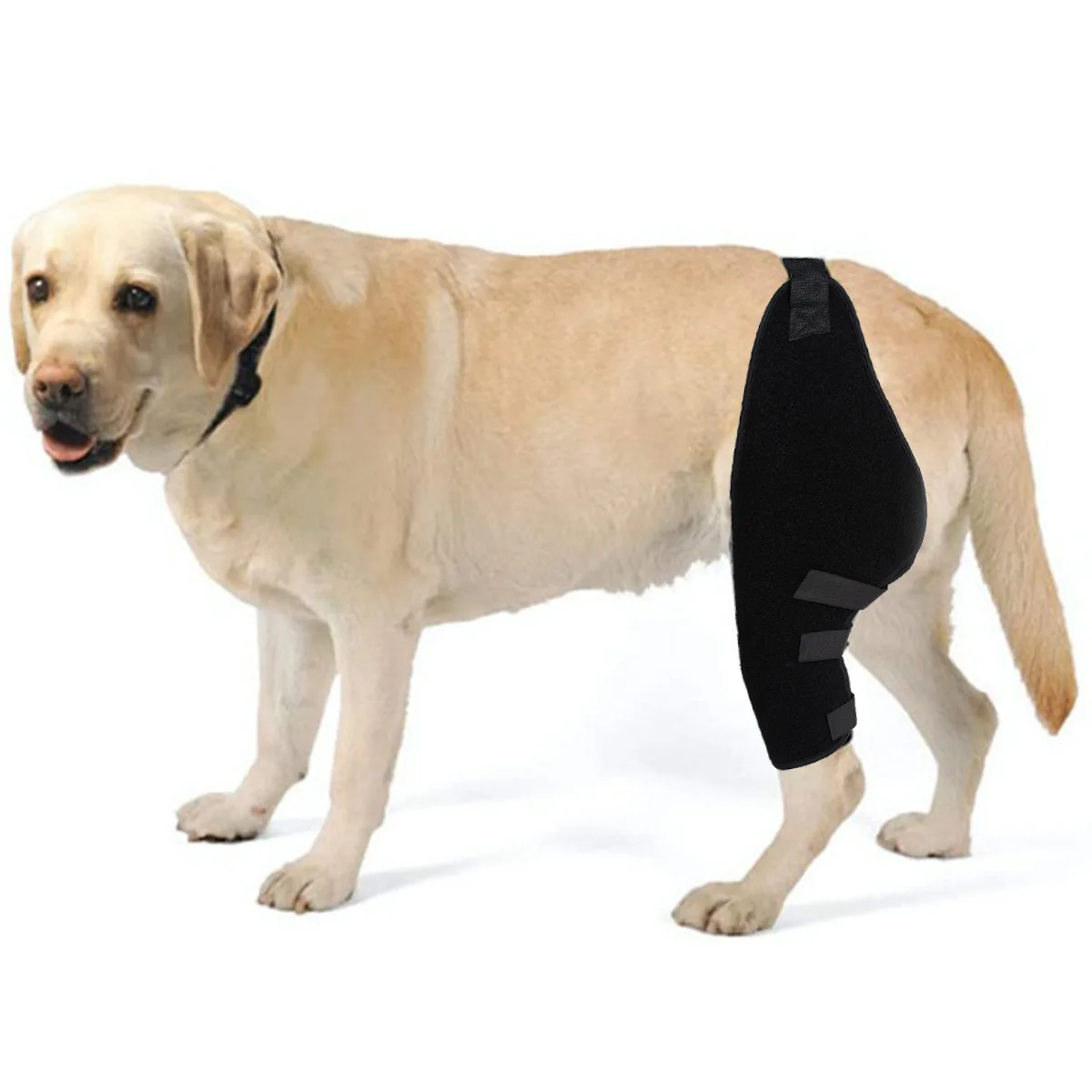 Pet Leg Protector Dog Surgical Injury Protector Heal Compression Brace Pet Knee Brace Good