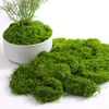 1000 g de musgo filamentoso verde oscuro (a granel)
