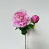 Rosa intenso