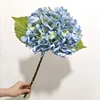 blu 3