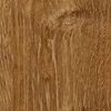 Oak Knot