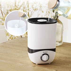 Modern Design air Humidifier Negative Ion air Humidifier Small air Humidifier