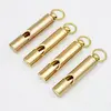 Polished Brass (Gold tone)