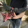 Noir et rouge
