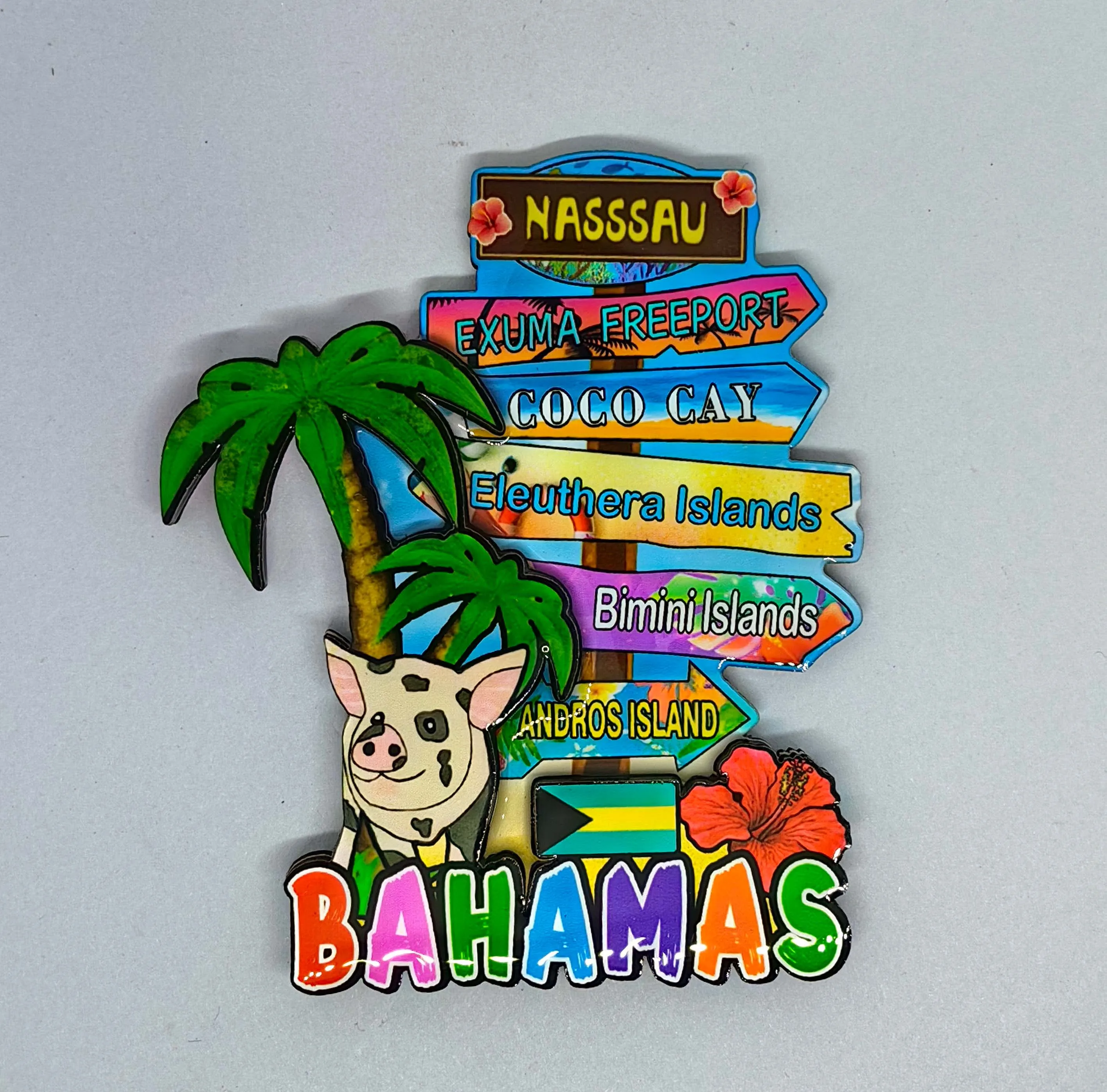 Custom Bahamas Sea Turtle Shaped Fridge Magnet,Ocean Style Dolphins Print Refrigerator Magnet Bahamas Souvenir Gifts Multicolor