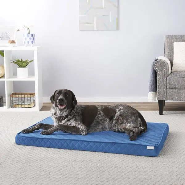 New in 2024 Custom Elegant Blue Gray Washable Dog  Couch  Bed Healthy Rest Dog Beds for Large Dogs