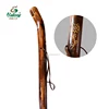 walking stick