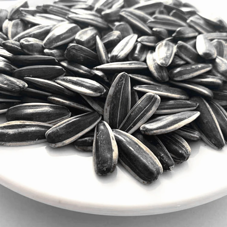 sunflower seeds 014.jpg