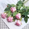 Snow Mountain Light Pink (20 shades)