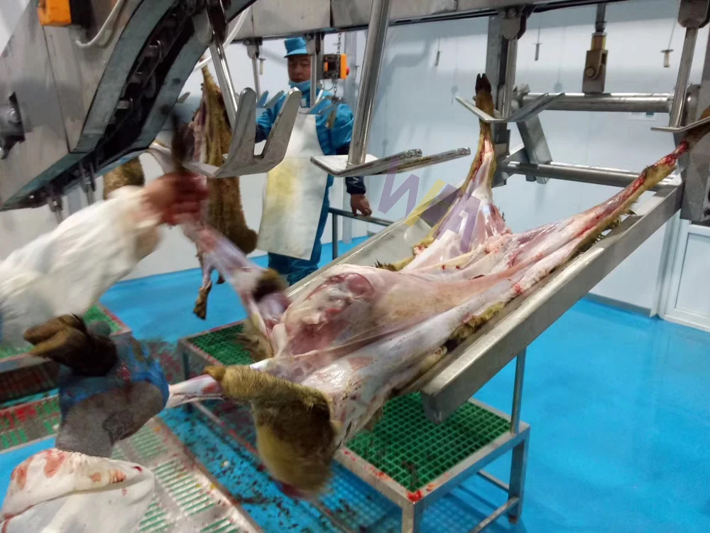 Halal Slaughter House Line Lamb Slaughtering With Mutton Meat Processing for Sheep Abattoir