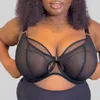 Black2
