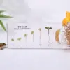 White  Bean growth history