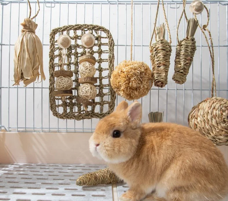 Rabbit Activity Mat Bunny Chew Toy Small Animal Activity Play Ball Carrot Toy Seagrass Mat for Hamster Guinea Pigs