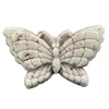 Indian carbuncle