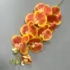 สีส้ม
