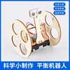 Balancing robot